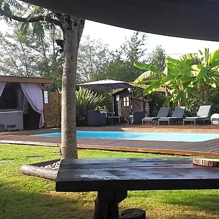 & D'hotes - Le Petit Bali Frühstückspension Saint-Pandelon